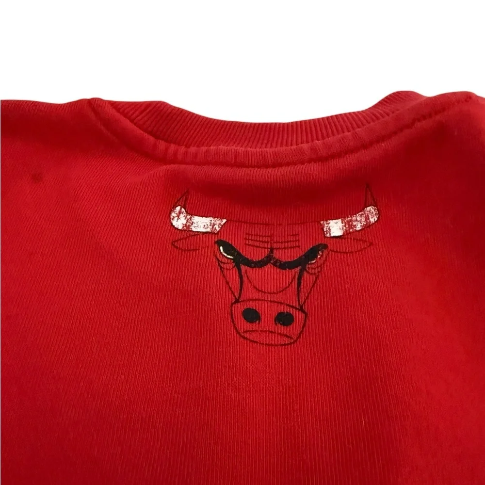 Ultra game Y2 Chicago Bulls Red Sweatshirt
